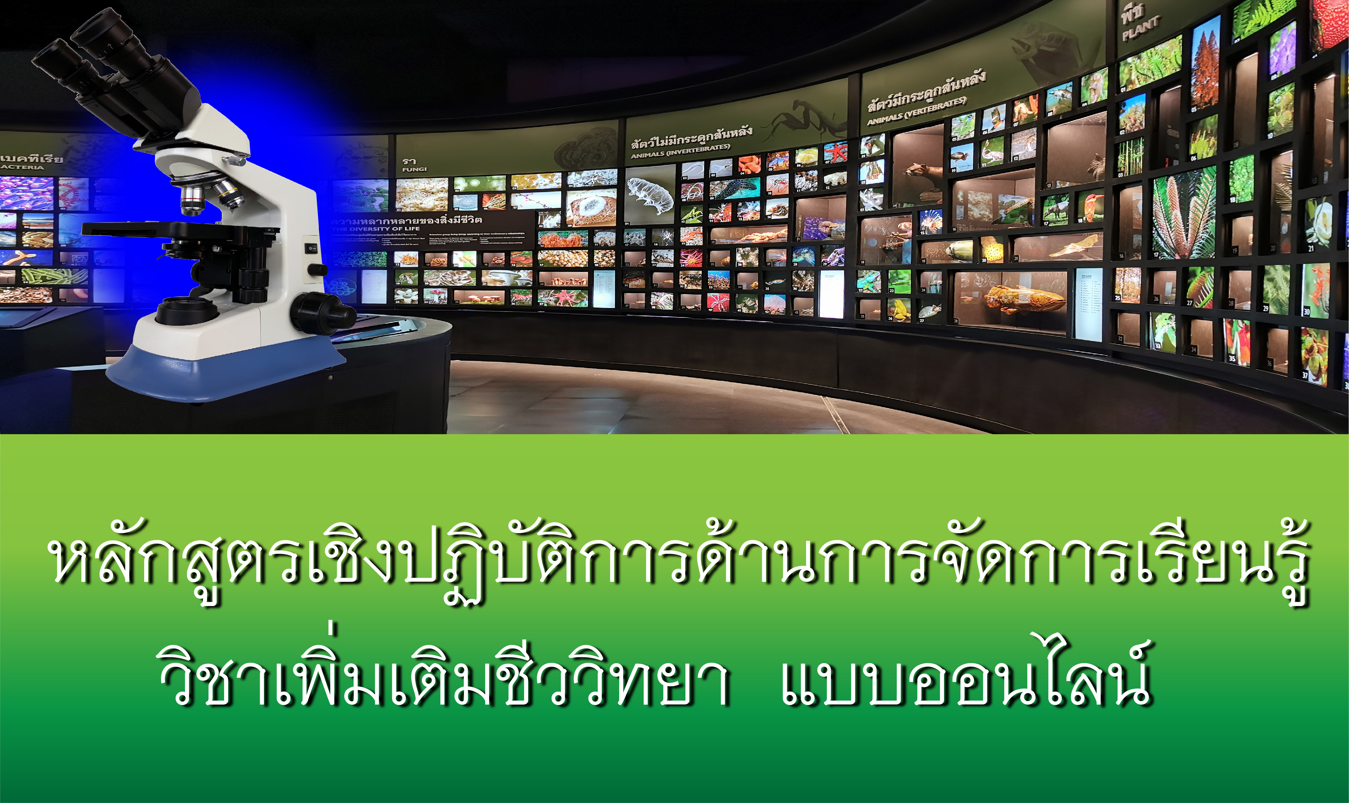 หลักสูตรเชิงปฏิบัติการด้านการจัดการเรียนรู้วิชาเพิ่มเติมชีววิทยา แบบออนไลน์ Bio002